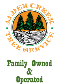 tree services trimming cutting logging chipping oregon