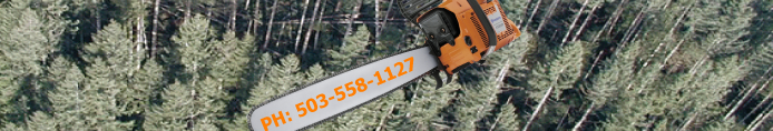 tree services trimming cutting logging chipping oregon