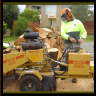 stump grinding trees oregon
