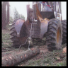 logging thinning loggers trees oregon